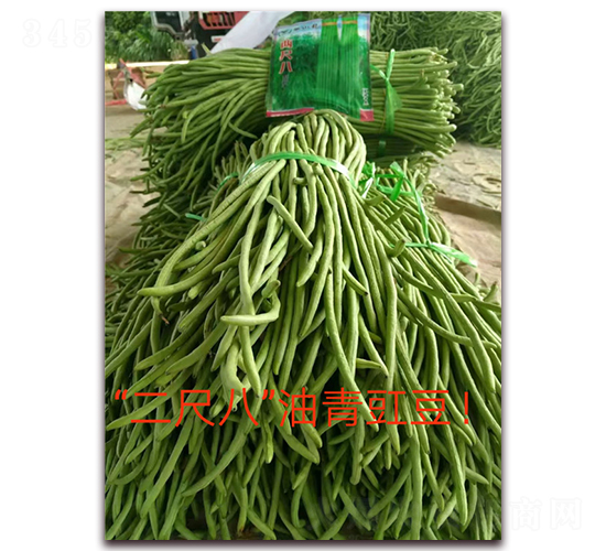 �ɳ߰�-�����N��-ӳɽ��