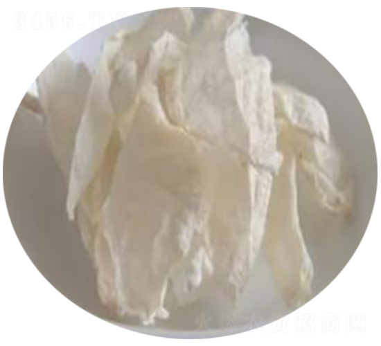 �����ǚ�����-����