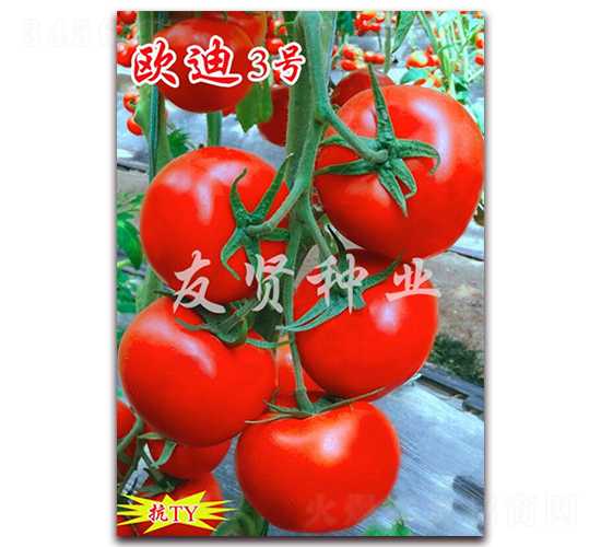 �W��3̖-�tɫ���ѷN��-���t�N�I(y��)