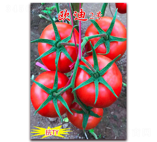 �W��2̖(h��o)-�tɫ���ѷN��-���t�N�I(y��)