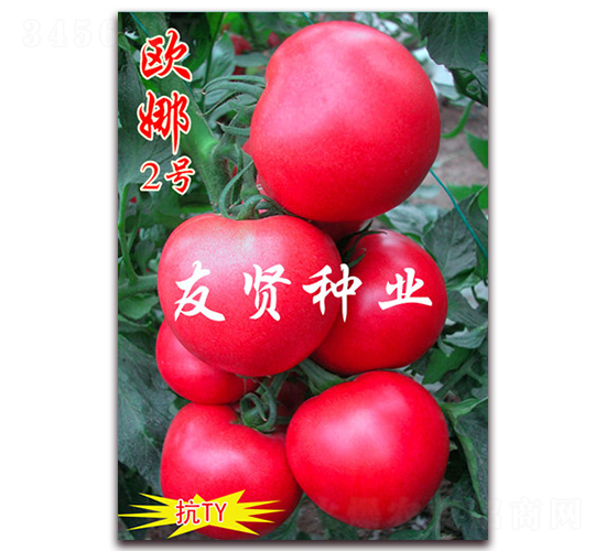 �W��2̖-��ɫ���ѷN��-���t�N�I(y��)