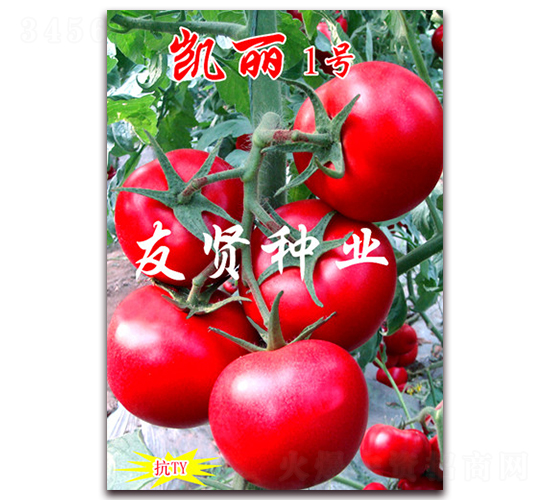 �P��1̖-��ɫ���ѷN��-���t�N�I(y��)