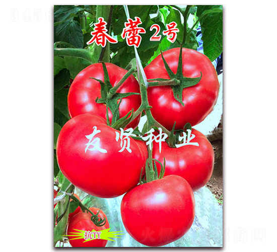 ����2̖-��ɫ���ѷN��-���t�N�I(y��)