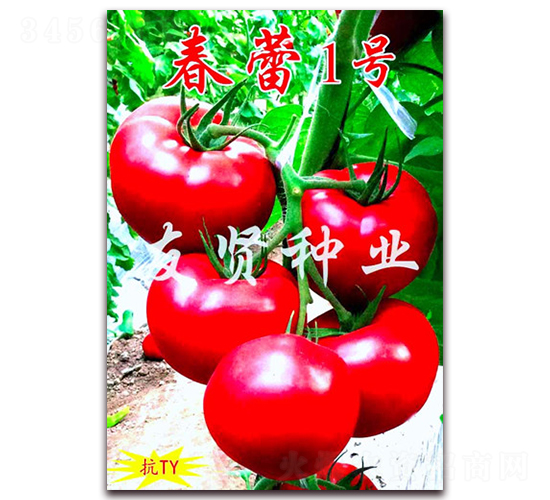 ����1̖-��ɫ���ѷN��-���t�N�I(y��)