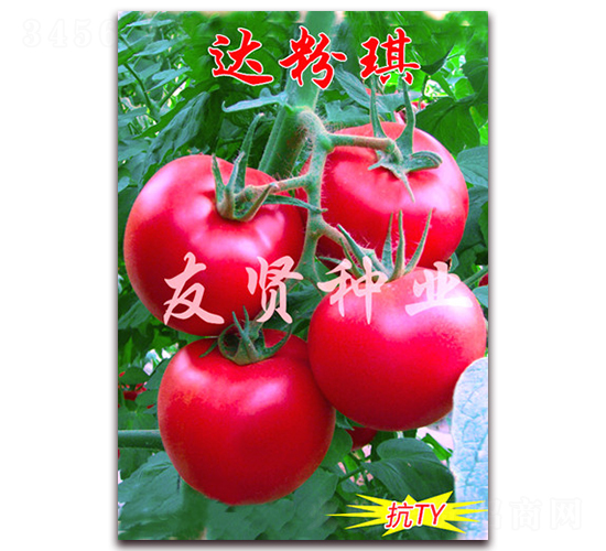 �_����-��ɫ���ѷN��-���t�N�I(y��)