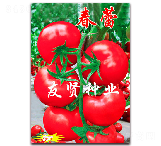 ����-��ɫ���ѷN��-���t�N�I(y��)