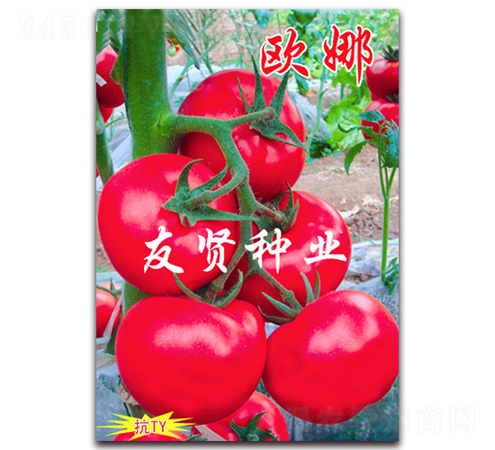 �W��-��ɫ���ѷN��-���t�N�I(y��)