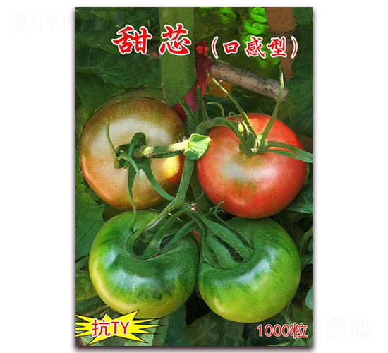 ��о-�tɫ����С���ѷN��-���t�N�I(y��)