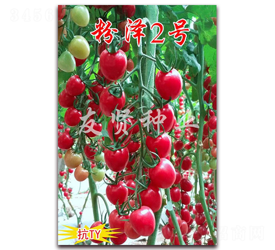 �۝�2̖-��TY��������С���ѷN��-���t�N�I(y��)