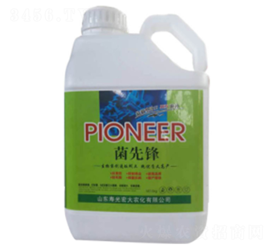 �����h-�ն���