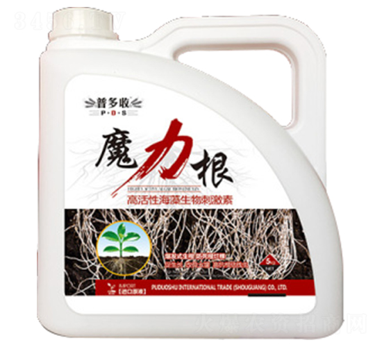 �߻��Ժ�������̼���-ħ����-�ն���