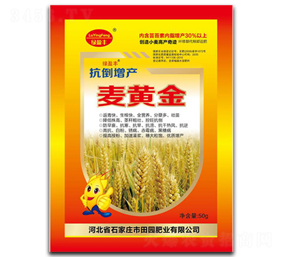 ���S��-��@�ʘI(y��)