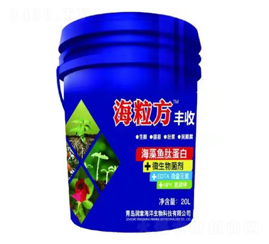 �����~�ĵ���-������-���º���