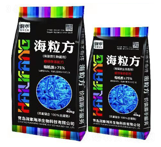 ����΢�������-������-���º���