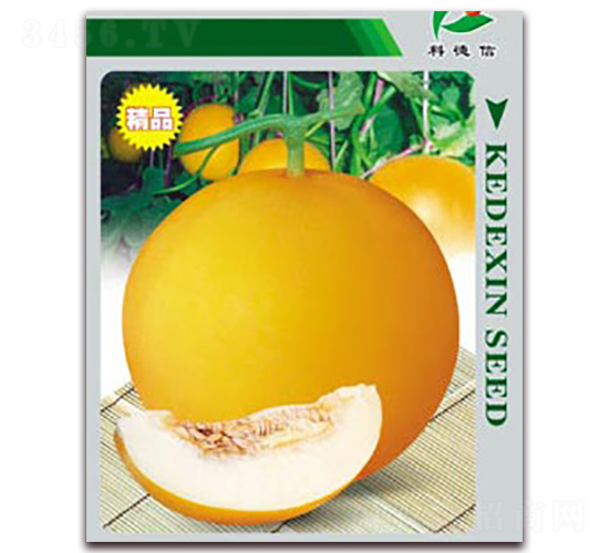 �Ƶ��S��һ̖-��ϷN��-�Ƶ���