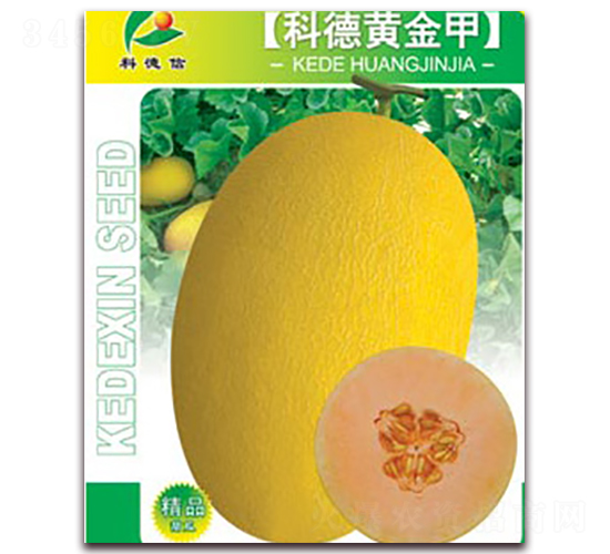 �Ƶ��S���-��ϷN��-�Ƶ���