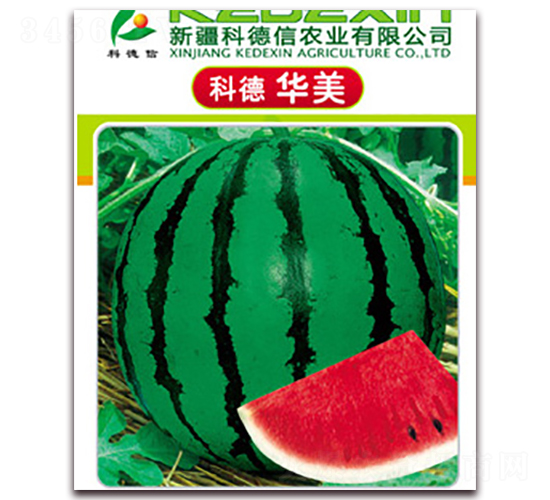 �Ƶ��A��-���ϷN��-�Ƶ���