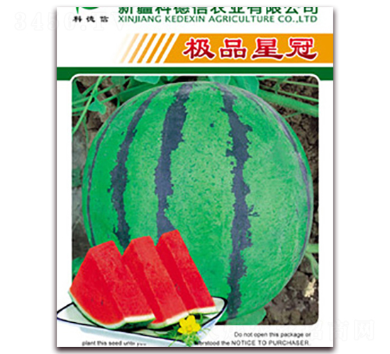 �OƷ�ǹ�-���ϷN��-�Ƶ���