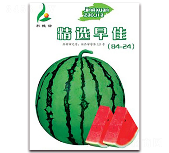 ���x���-���ϷN��-�Ƶ���