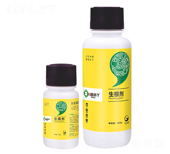 ������-��СѾ-�_������