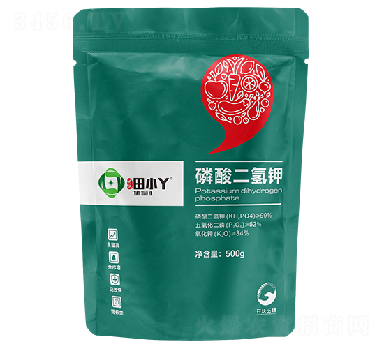 ��������-��СѾ-�_������