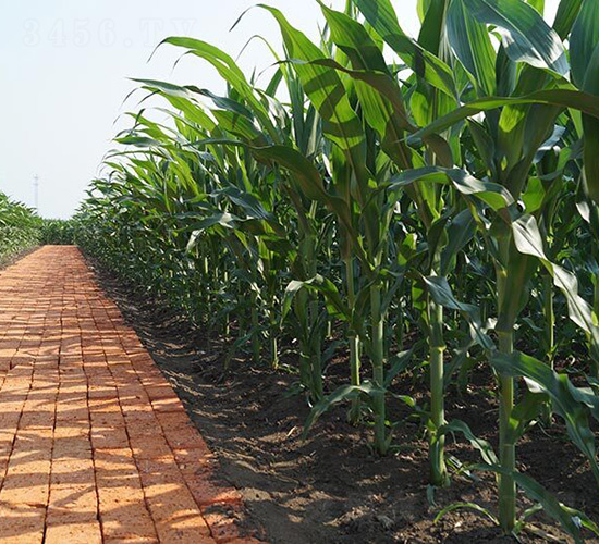 ƽ��108-ƽ���N�I(y��)