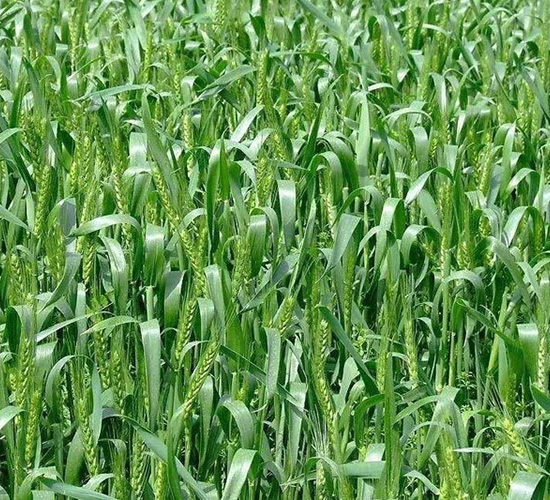 ����10̖(h��o)-ƽ���N�I(y��)