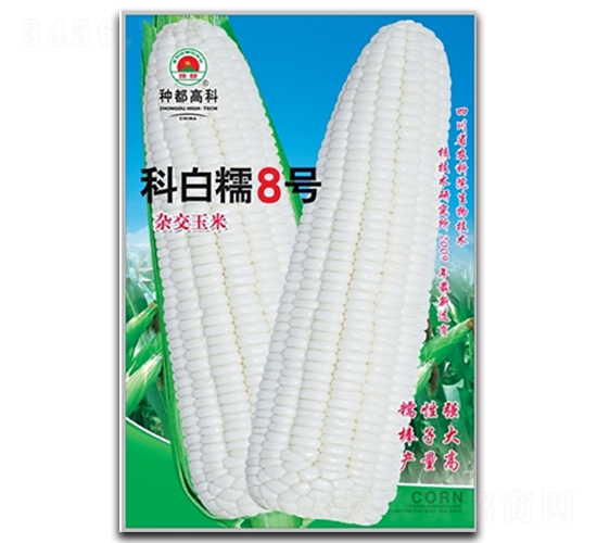 �ư�Ŵ8̖-���׷N��-�߿ƷN�I(y��)