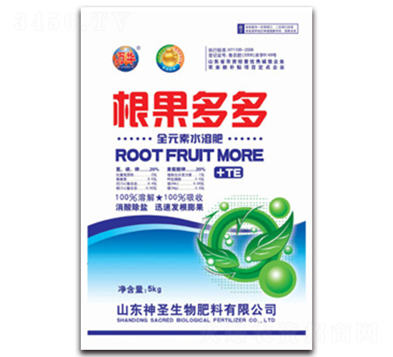 �������-��ʥ����