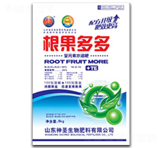 ������ࣨ�����棩-��ʥ����