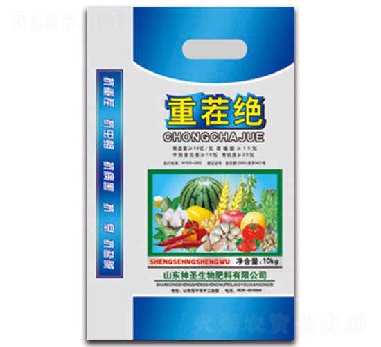 �ز�^-��ʥ����