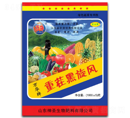 �ز�����L-��ʥ����