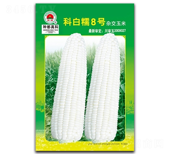 �ư�Ŵ8̖(h��o)��2��-���׷N��-�߿ƷN�I(y��)