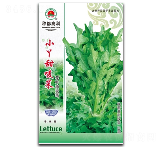 СѾ������-�����˷N��-�߿ƷN�I(y��)