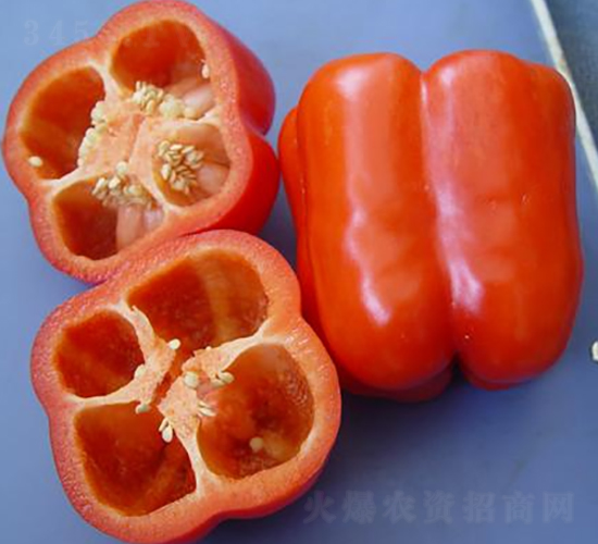 �P��-�ʽ��N��-ɣ�r(n��ng)�N�I(y��)