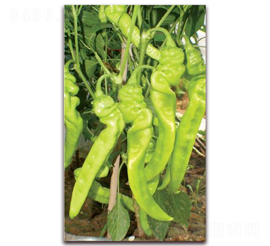 ����601-�⽷�N��-ɣ�r(n��ng)�N�I(y��)