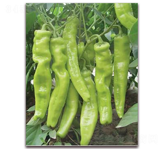 ����603-�⽷�N��-ɣ�r(n��ng)�N�I(y��)