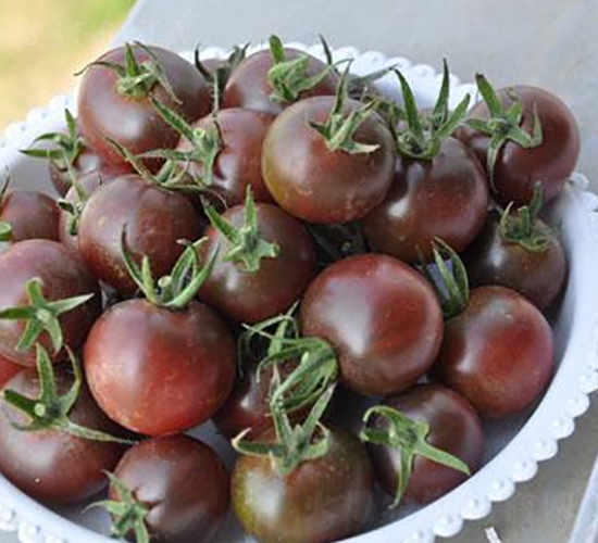 �ڙ�-���ѷN��-ɣ�r(n��ng)�N�I(y��)