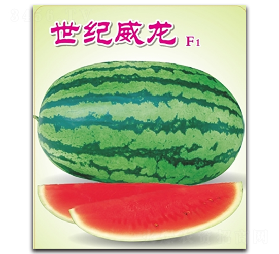 ���o(j��)����-���ϷN��-�߿ƷN�I(y��)