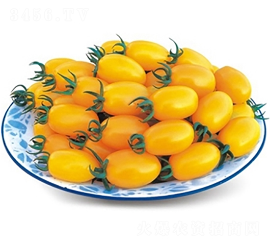 �W��-���ѷN��-�߿ƷN�I(y��)