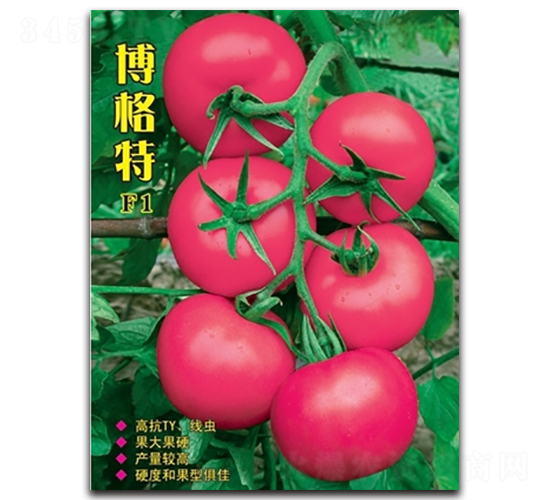 ������-���ѷN��-�߿ƷN�I(y��)