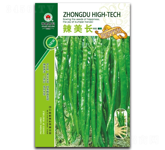 �����L-�����N��-�߿ƷN�I(y��)