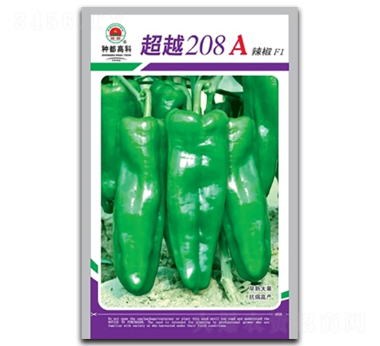 ��Խ208A-�����N��-�߿ƷN�I(y��)