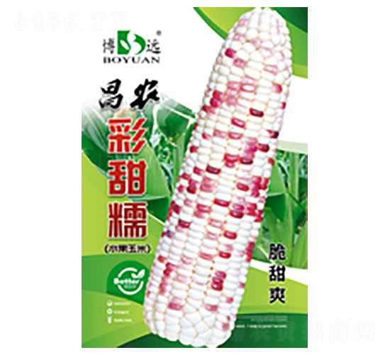 ����Ŵ-���r(n��ng)�N�I(y��)