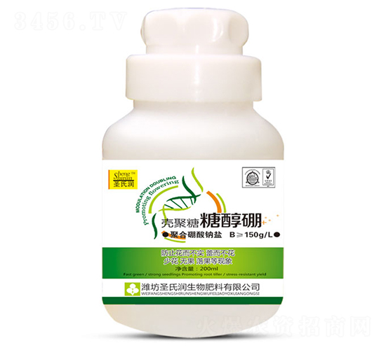 �������Ǵ���-ʥ�ϝ�