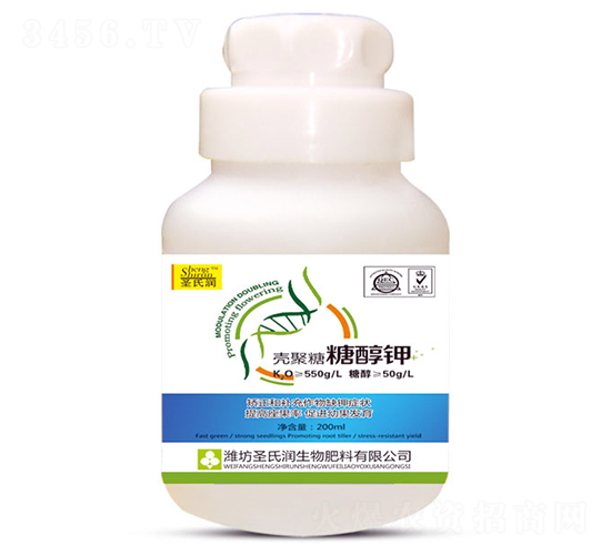 �������Ǵ��-ʥ�ϝ�