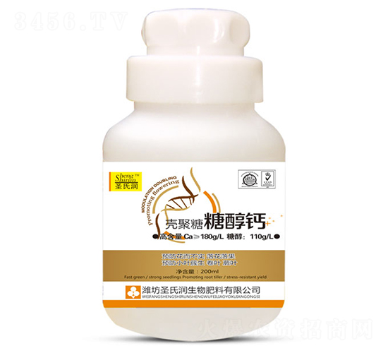 �������Ǵ��}-ʥ�ϝ�