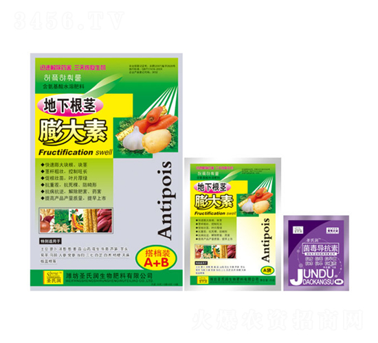 ���������-ʥ�ϝ�