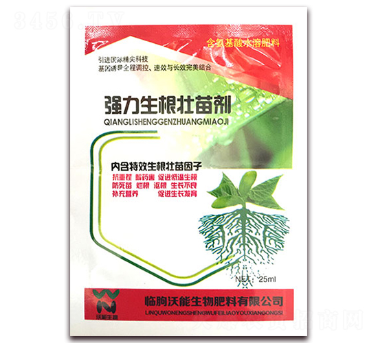 �����������焩-��������