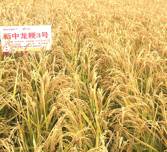 ��������3̖(h��o)-С���N��-���S�N�I(y��)